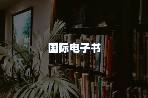 国际电子书